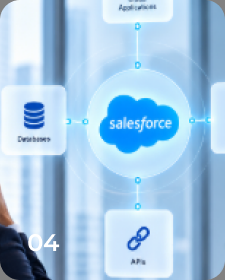Salesforce Integration Services